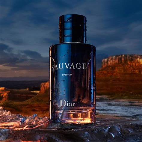 sauvage dior eau de parfum|Dior Sauvage Eau de parfum 100ml best price.